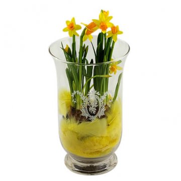 Glasvas med plantering av minipåskliljor. Beställ hos Florister i Sverige!