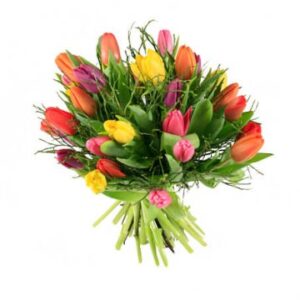 En bukett som piggar upp i vintermörkret! Färgglada tulpaner i blandade, glada färger. Beställ din blomstergåva online hos Florister i Sverige!