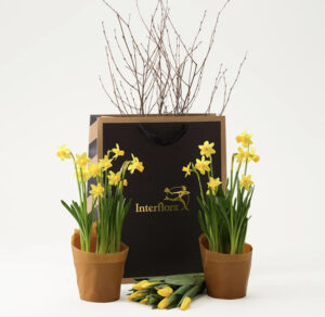 Presentpåse med påskliljor, påskris o. påsktulpaner. Skicka med ett blomsterbud från Interflora!