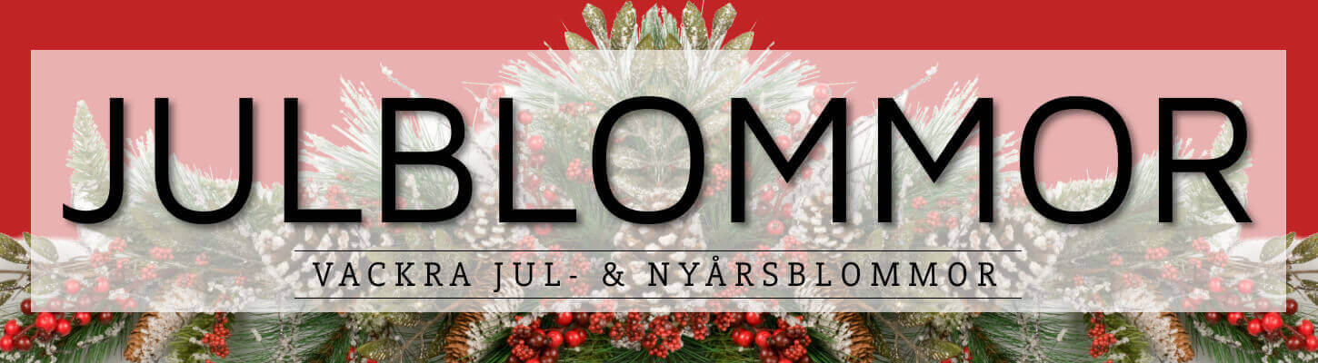 Beställ julblommor hos Florister i Sverige - skicka dem med blombud!