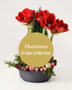 Rund julgrupp med röda amaryllisar, dekorationsgrön och julpynt i basen. Floristen skapar med tillgängliga julblommor.