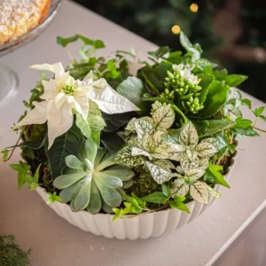 Rund låg julgrupp med vit julstjärna, vit kalanchoe och blandade gröna blad. Superfin!